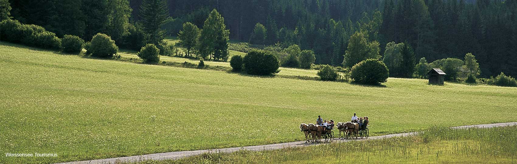 Kutschenfahrt in der Weissensee-Region